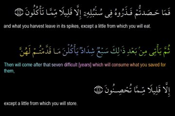 12-Surah Yusuf Recitation by Sheikh Khalid All-Jaleel