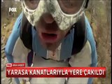 Yarasa kanatlarıyla böyle yere çakıldı