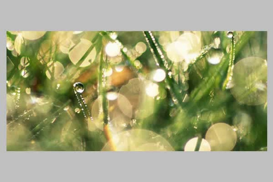 Mivida Apartment Prices  2 bedrooms Apartment for Sale Mivida Gardens