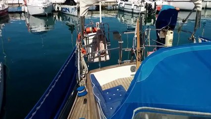 Willing 31 1977,www.hollandyachting.com +34 622 223 0006