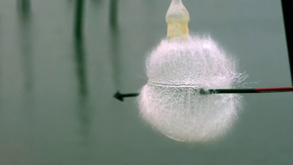 Slow motion Water Balloon Vs Arrow
