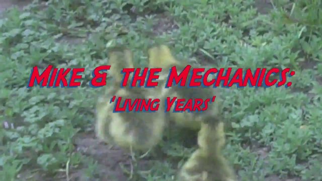 Mike + the Mechanics: 'Living Years' (10/28/88; Full-Album Uploaded in 1080p HD)