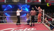 Blue Panther, Fuego, La Máscara vs Niebla Roja, Pierroth, Virus