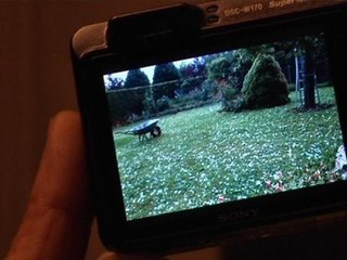 Video herunterladen: Grêle et orages provoquent des dégâts matériels en Ile-de-France - 09/06