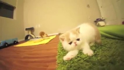 ↙강원랜드게임↗▨◐▷ ＹＡＭ ７７７.℃OM ◀◑☎강원랜드게임강원랜드게임강원랜드게임강원랜드게임강원랜드게임강원랜드게임강원랜드게임강원랜드게임