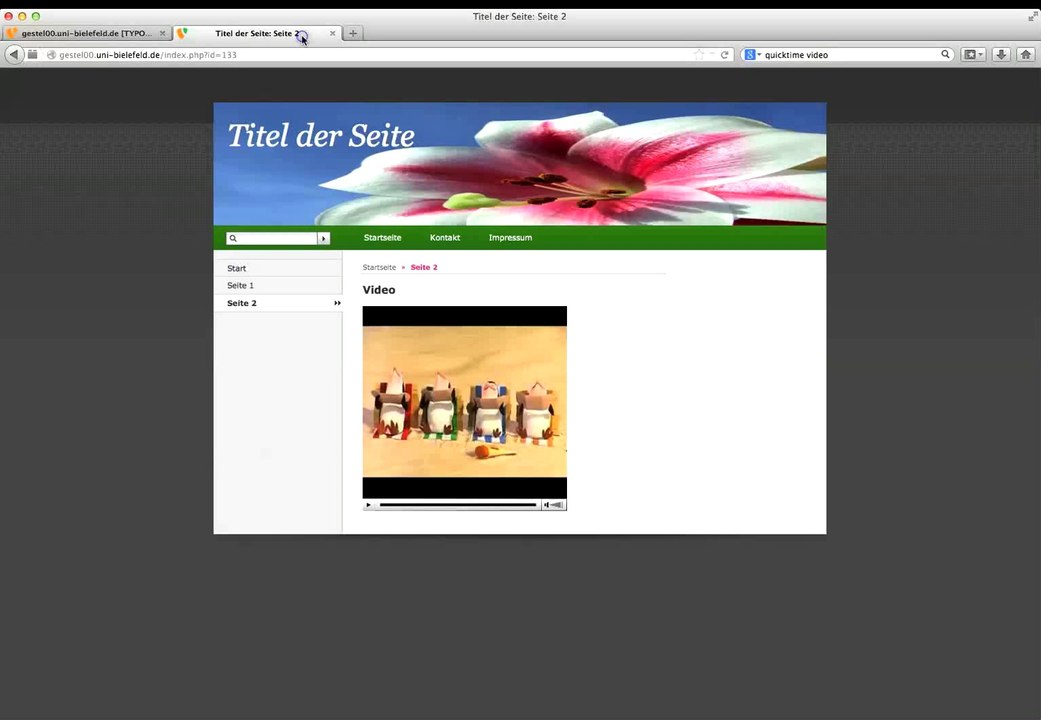 (2) Weiterführende Arbeit mit TYPO3