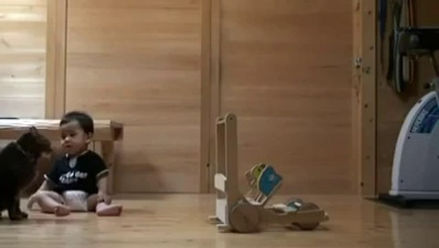 Bebeğe yürümeyi öğreten kedi