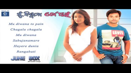 Odia Movie Mu Diwana To Pain - Full Audio Songs | Oriya Film Mu Diwana To Pain | Mu Diwana To Pain Juke Box