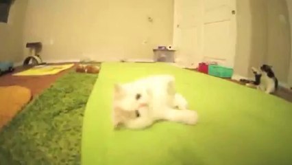 ™블랙잭초보◎◀▤▶ ＹＡＭ ７７７.℃OM ◁▤▦블랙잭초보블랙잭초보블랙잭초보블랙잭초보블랙잭초보블랙잭초보블랙잭초보블랙잭초보