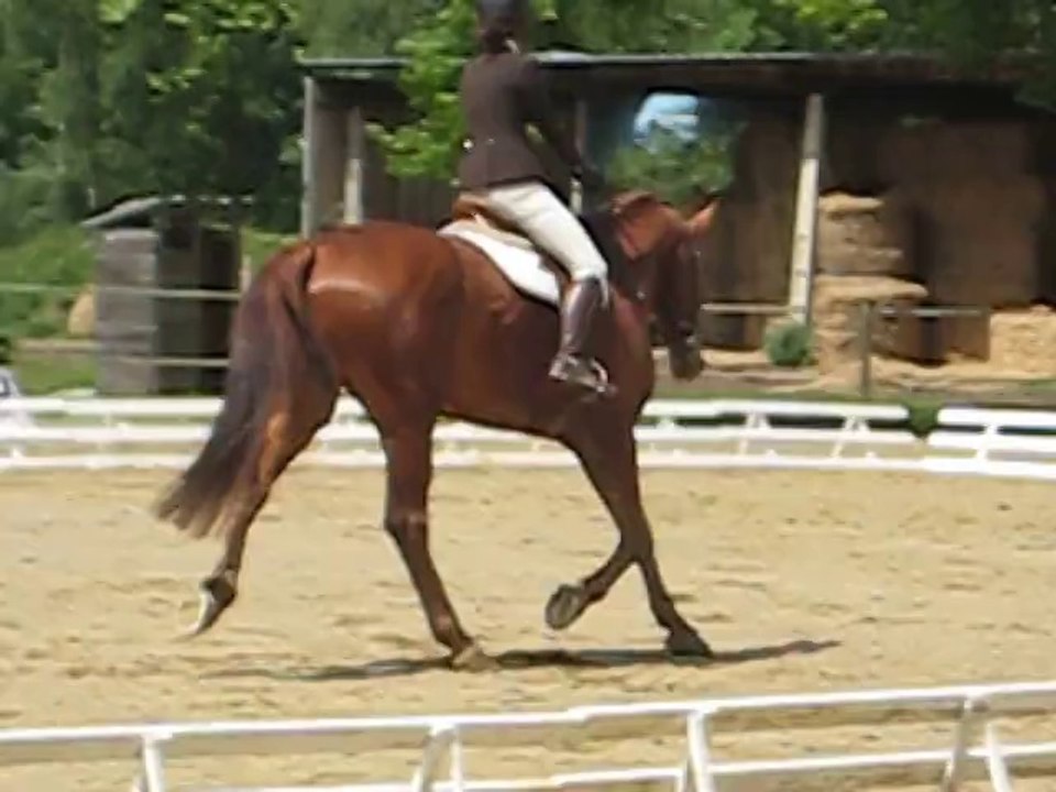 valdes première prime cycle libre 2ieme année mai 2014