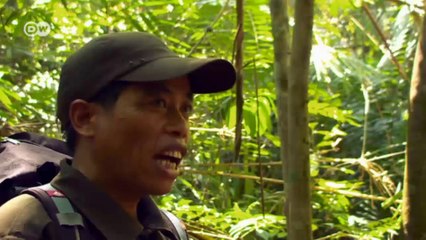 Vietnam: Kampf um die Bären | Global 3000