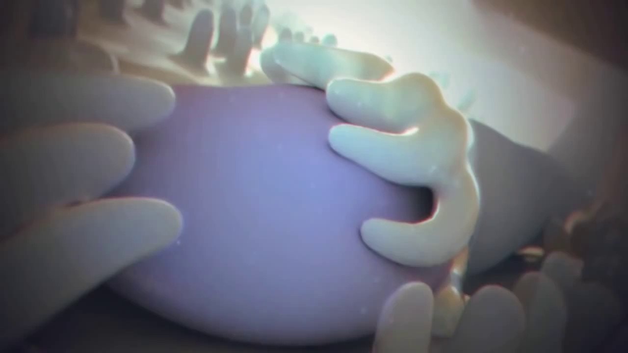 İNSANIN YARATILIŞ SERÜVENİ ᴴᴰ