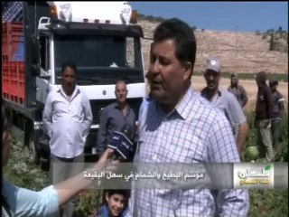 فلسطين هذا الصباح 9-6 الاثنين ج2