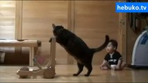bebeğe yürümeyi öğreten kedi - çok sevimli :)