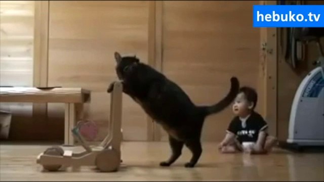 bebeğe yürümeyi öğreten kedi - çok sevimli :)