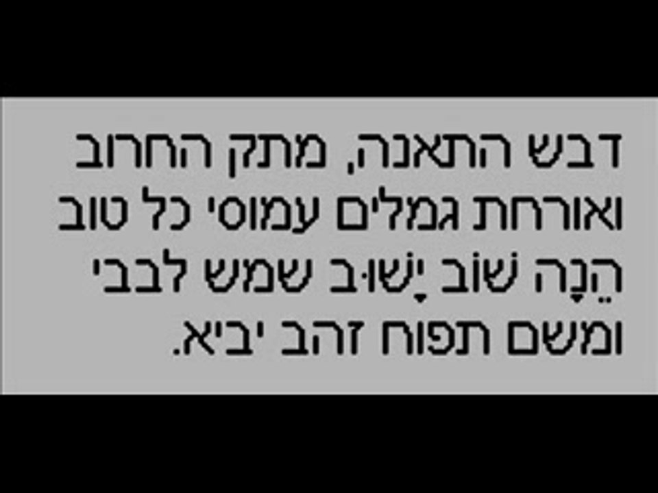 ''שלג על עירי''