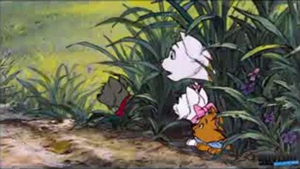 The great cat funny clips