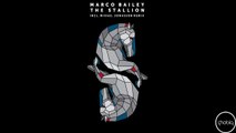 Marco Bailey - The White Stallion (Mikael Jonasson Remix) [Phobiq]