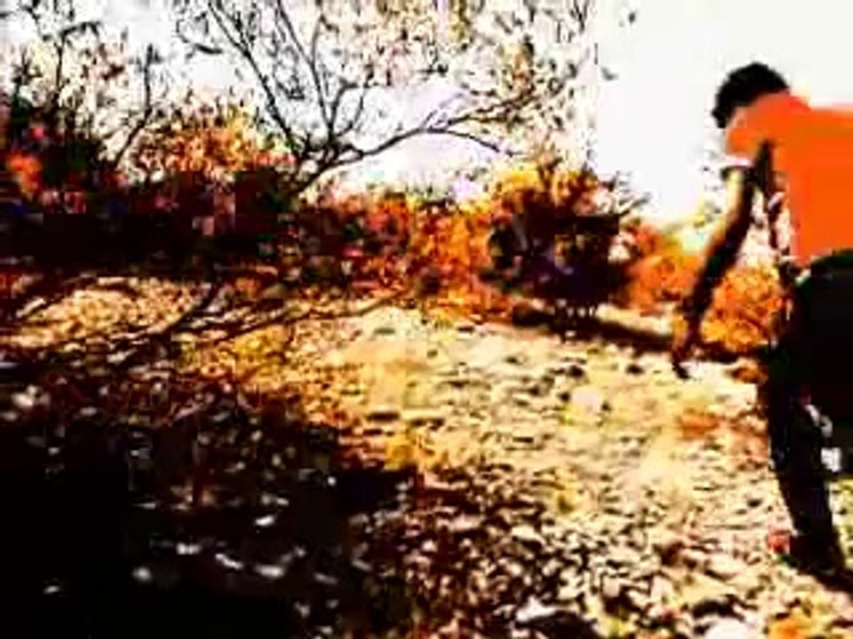 Payam - Tamil Short Films