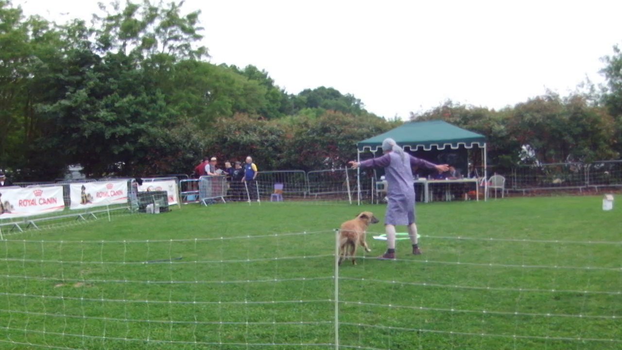 Emla saint vrain 2014