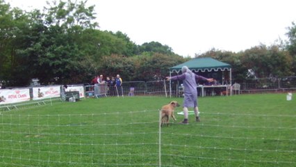 Emla saint vrain 2014