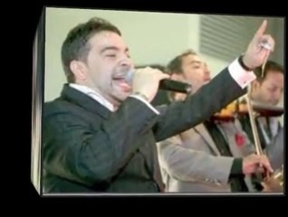 FLORIN SALAM - CE SE INTAMPLA DE LA O VREME INCOA