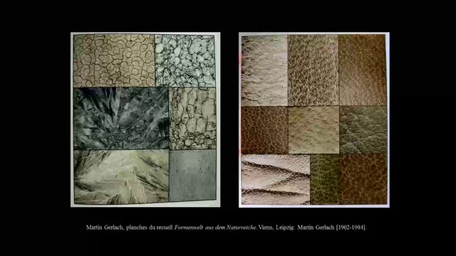 16. Parure plane, motif éphémère : ornement photographique et architecture au XXe siècle