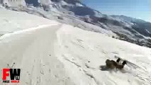 Snowboarder Faceplant - Fails World