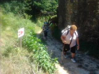 CaminodeSantiago-2013