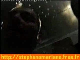 dingue de mon slip stephano di mariano