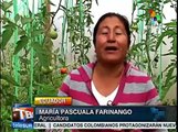 Ecuador: promueven sistemas familiares de agricultura en Quito