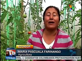 Ecuador: promueven sistemas familiares de agricultura en Quito