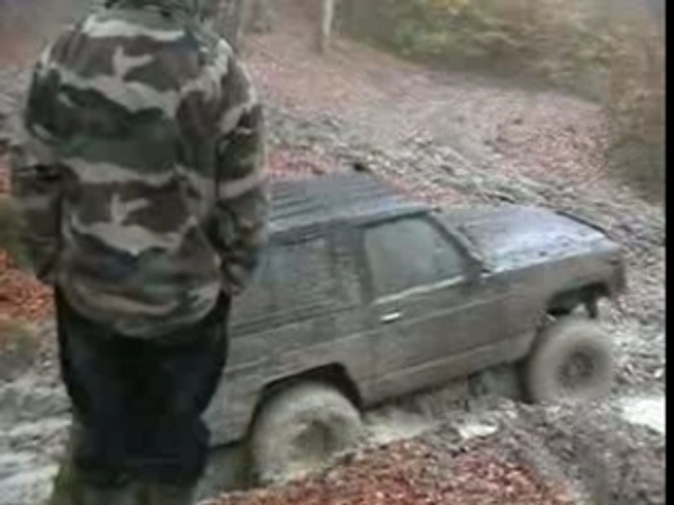 Trol des bois