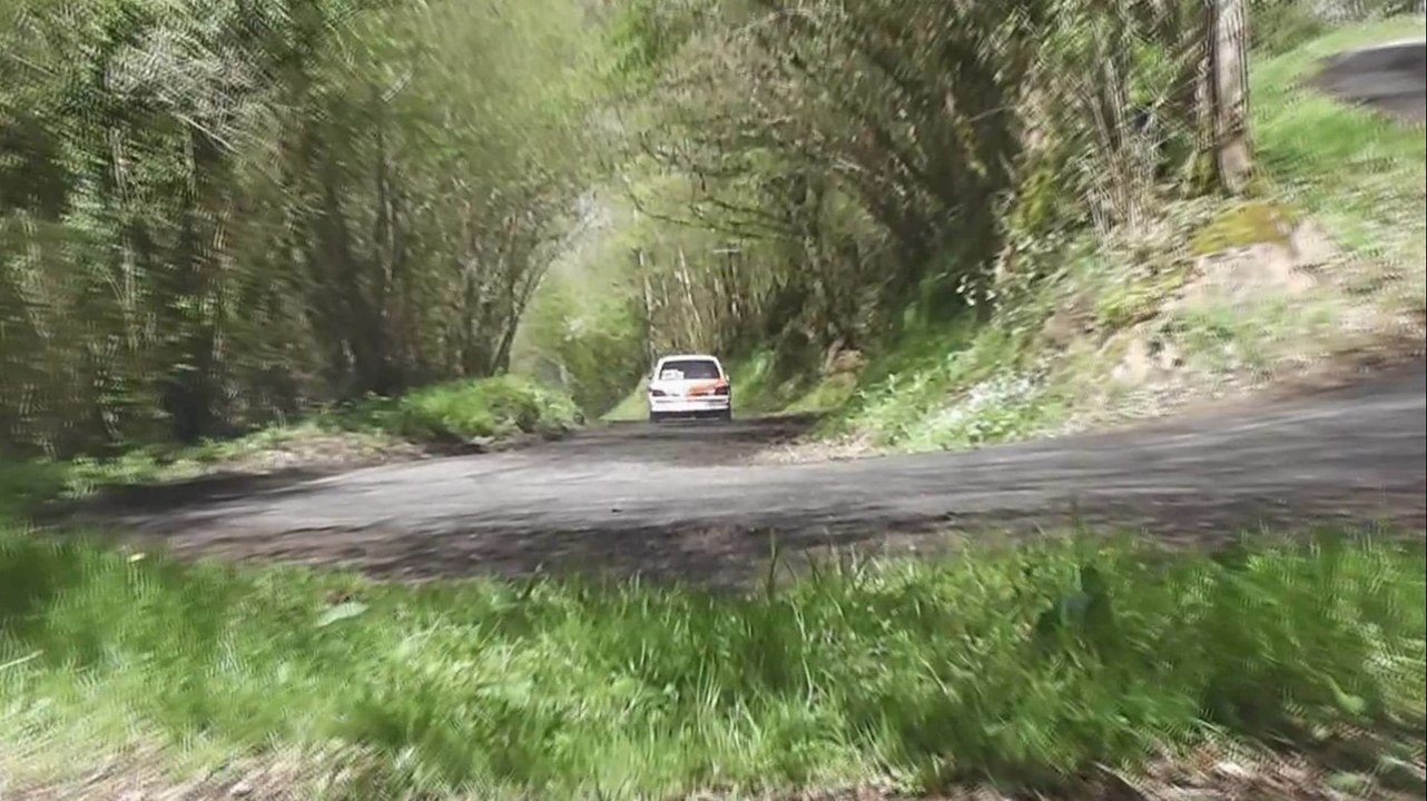 Sylvain Seray et Mathieu Fouqueray  - Rallye de Suisse Normande 2014