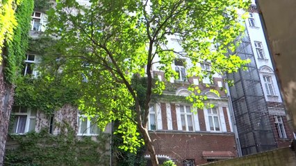 ein Baum muss sich verabschieden