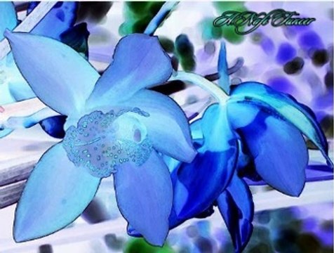 Selma SAĞBAŞ & KORO-Mehlika Sultâna Âşık Yedi Genç (Bir Bûselik Mehlika Sultan)