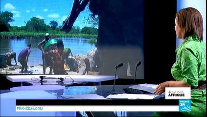 LE JOURNAL DE L'AFRIQUE - Nigeria : affrontements après la nomination d'un émir à Kano