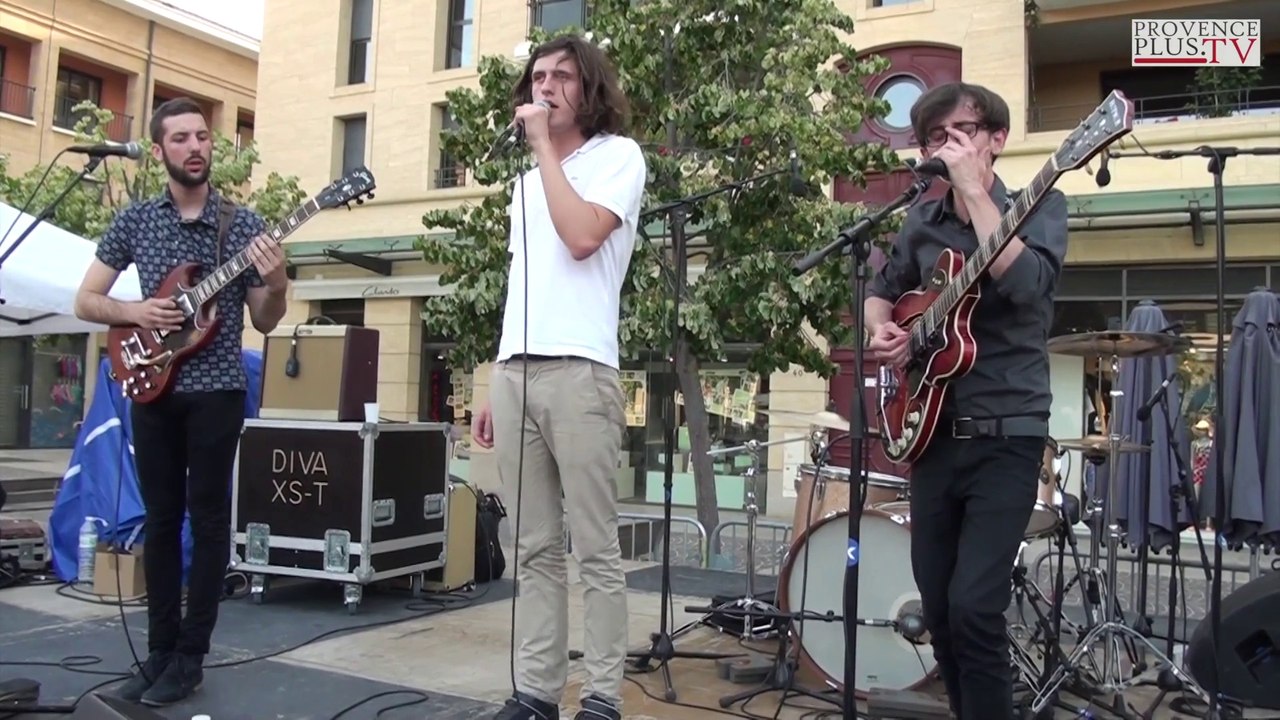 Les Allées Musicales 2014 : Alpes