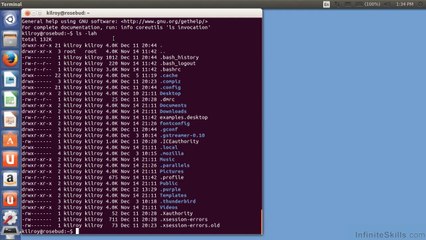 Linux Using The Console To List Files