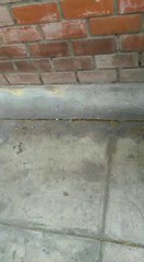 ¿Que opina un limeño sobre el indebido estacionamiento de un vehiculo?