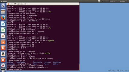 Linux File Management - Copy, Move And Rename