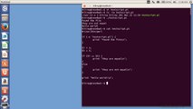 Linux -Perl Scripting