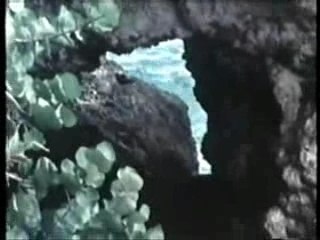 Rebel Reggae - Junior Tucker