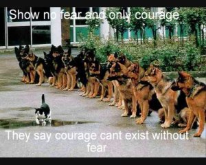 Inspirational video -  dreams and goals