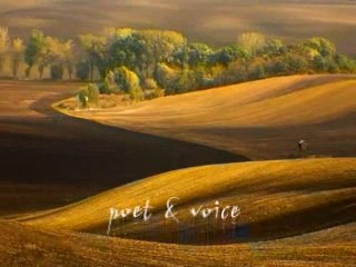 Jaffar Ghazal: Renowned Poet and Writer