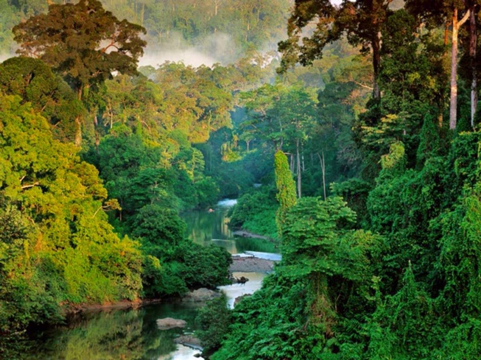 école Condorcet-Roussillon P5 L'enfant d'éléphant