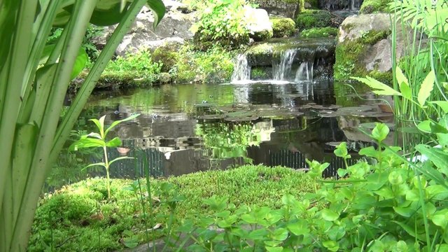 Relaxation - ZEN 14 - water fall - hypnosis water - LaRPV