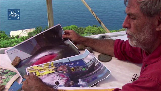 PELAGOS, nos voisines les baleines