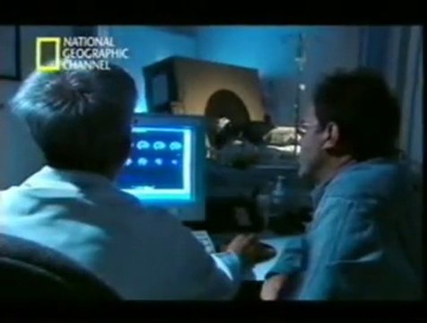 Memoria y hormonas de estres