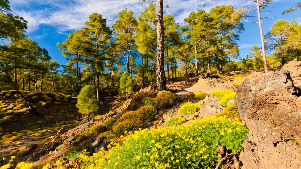La terre est aussi un Paradis